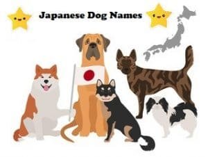 japanese dog names